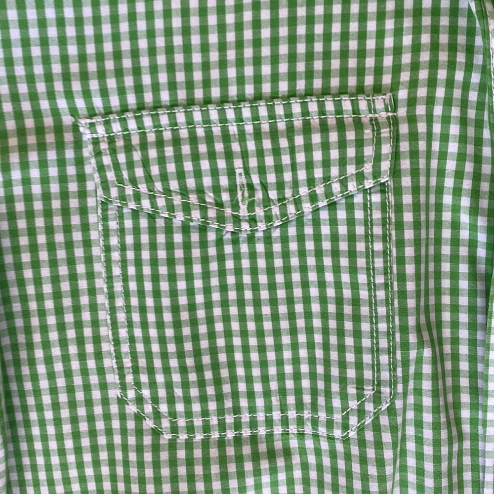 Green Gingham button down - Picture 3 of 5